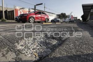 BACHES
