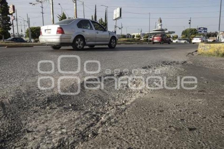 BACHES