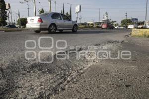 BACHES
