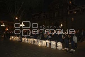 MOVIMIENTO ANIMALISTA . PROTESTA