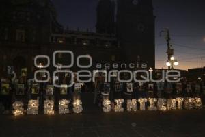 MOVIMIENTO ANIMALISTA . PROTESTA