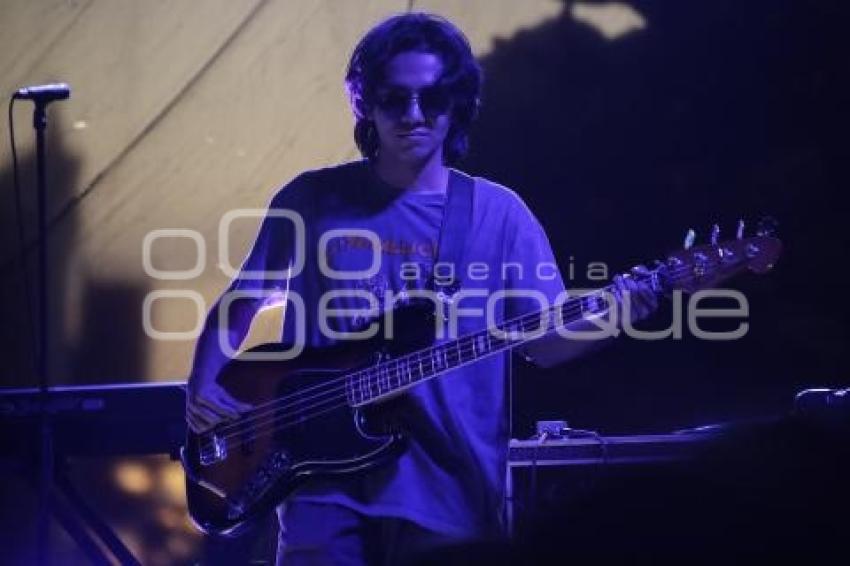 JAPÓNICA . TOUR