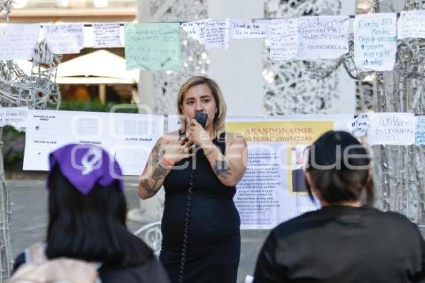 25N . TENDEDERO VIOLENTADORES