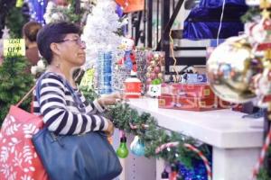 ADORNOS NAVIDEÑOS