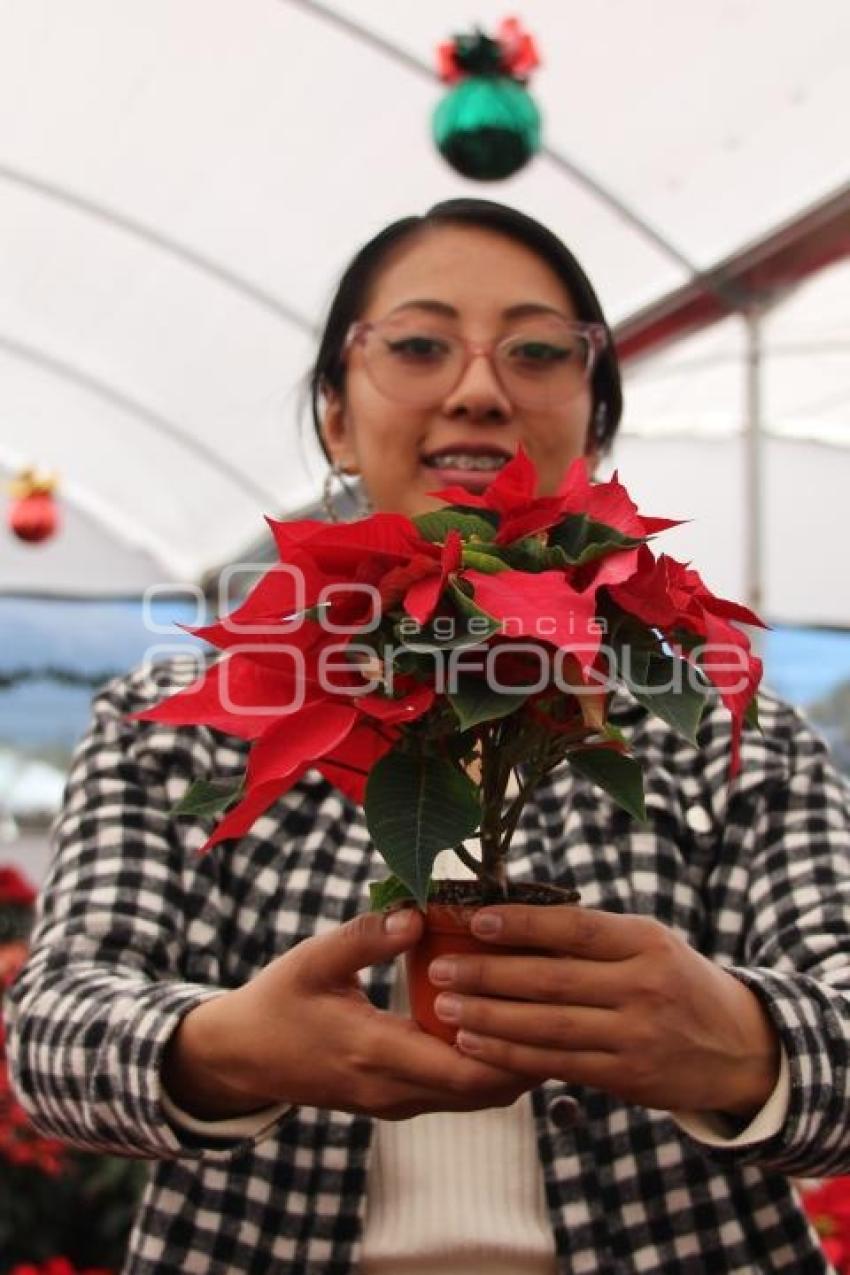 ATLIXCO . FESTIVAL NOCHEBUENA