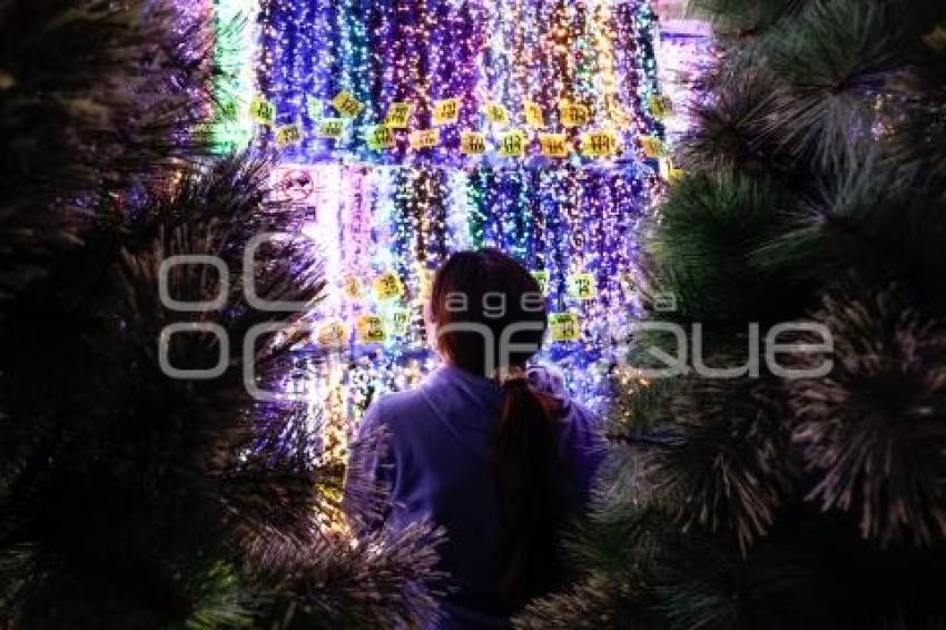 ADORNOS NAVIDEÑOS