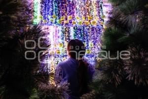ADORNOS NAVIDEÑOS