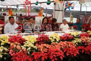 ATLIXCO . FESTIVAL NOCHEBUENA