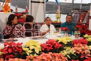 ATLIXCO . FESTIVAL NOCHEBUENA
