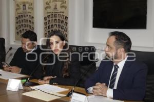 DIPUTADOS LOCALES