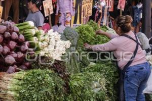 VERDURA Y HORTALIZAS