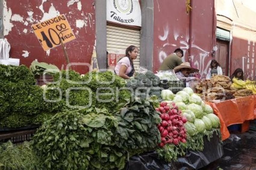 VERDURA Y HORTALIZAS