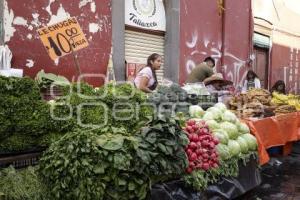 VERDURA Y HORTALIZAS