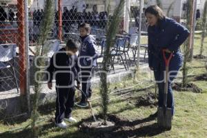 SAN ANDRÉS CHOLULA . ADOPTA UN ÁRBOL