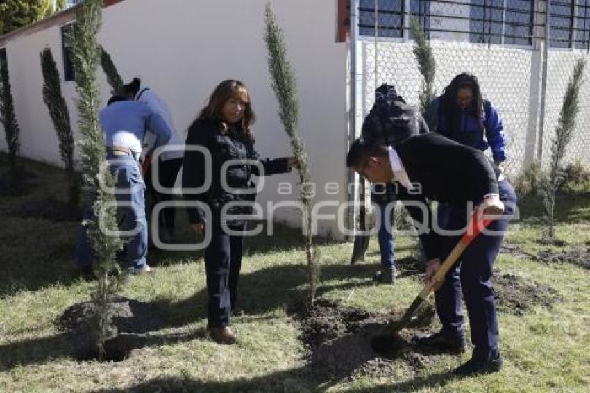 SAN ANDRÉS CHOLULA . ADOPTA UN ÁRBOL