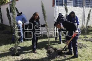SAN ANDRÉS CHOLULA . ADOPTA UN ÁRBOL