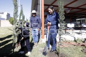 SAN ANDRÉS CHOLULA . ADOPTA UN ÁRBOL
