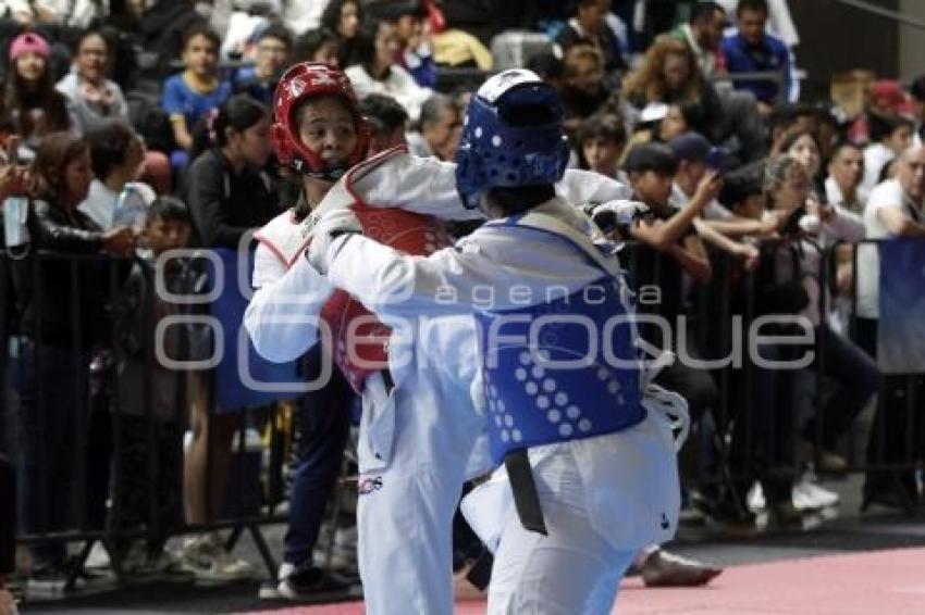 TAEKWONDO . GRAND SLAM