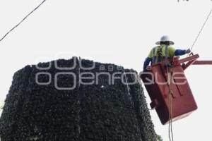 ÁRBOL DE NAVIDAD