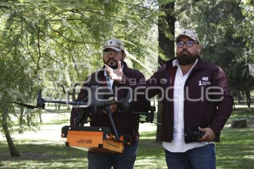 COMISIÓN DE BÚSQUEDA