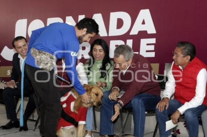 AYUNTAMIENTO . JORNADA IMPARABLE