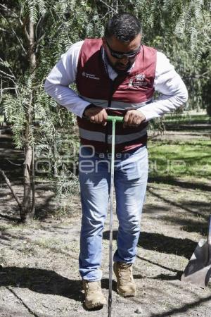 COMISIÓN DE BÚSQUEDA