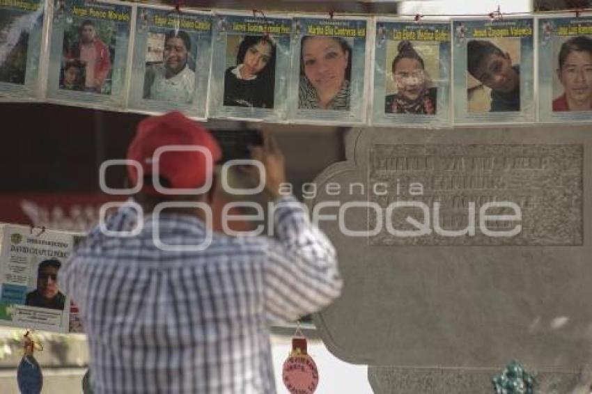 DESAPARECIDOS . ÁRBOL