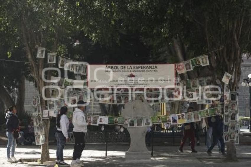 DESAPARECIDOS . ÁRBOL