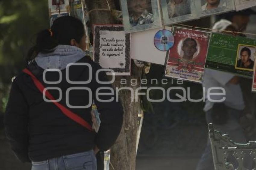 DESAPARECIDOS . ÁRBOL