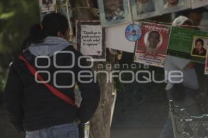 DESAPARECIDOS . ÁRBOL