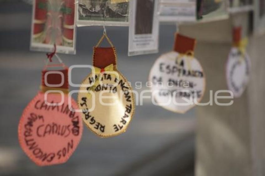 DESAPARECIDOS . ÁRBOL