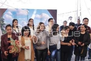 FERIA DEL PINO Y LA TRUCHA