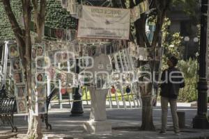 DESAPARECIDOS . ÁRBOL