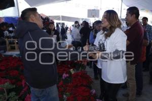 FERIA DEL PINO Y LA TRUCHA