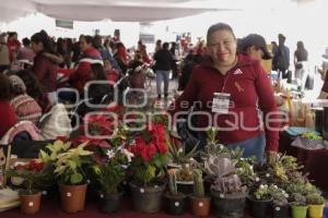 BAZAR NAVIDEÑO . MUJERES IMPARABLES