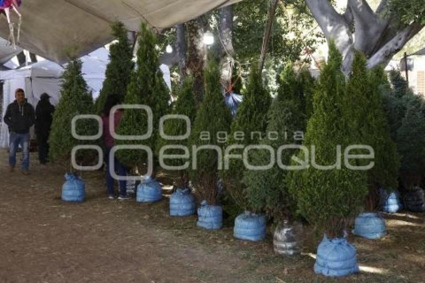 ÁRBOL DE NAVIDAD . CENHCH