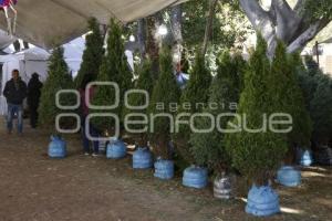ÁRBOL DE NAVIDAD . CENHCH