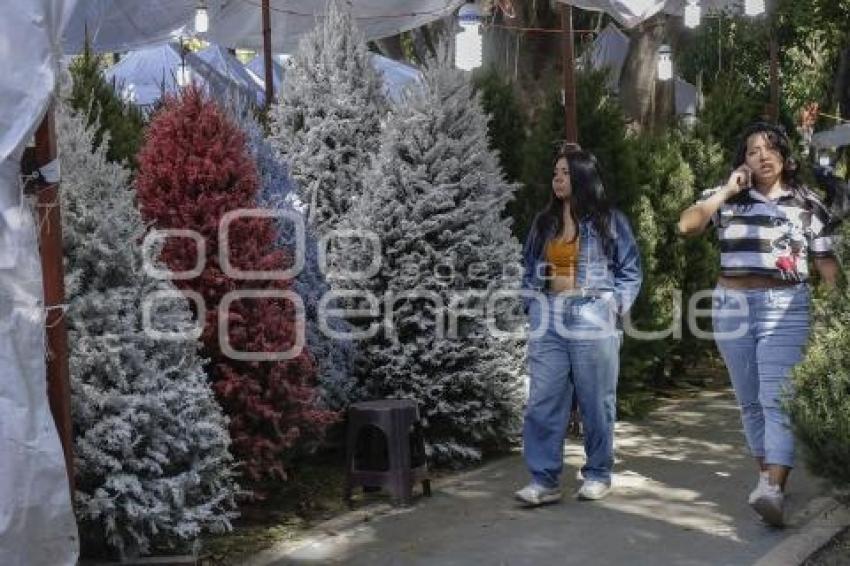 ÁRBOL DE NAVIDAD . CENHCH
