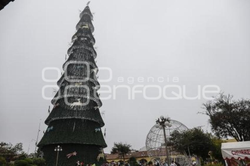 CHIGNAHUAPAN . ÁRBOL NAVIDEÑO