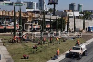 VIADUCTO ELEVADO . CICLOVÍA ATLIXCÁYOTL