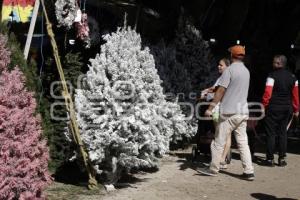 ÁRBOL DE NAVIDAD . CENHCH