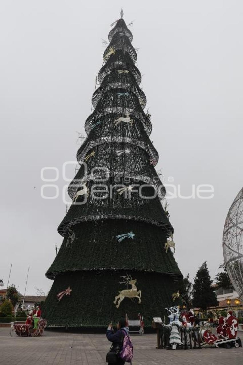 CHIGNAHUAPAN . ÁRBOL NAVIDEÑO