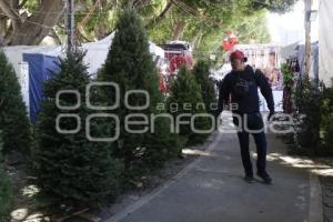 ÁRBOL DE NAVIDAD . CENHCH