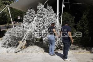 ÁRBOL DE NAVIDAD . CENHCH