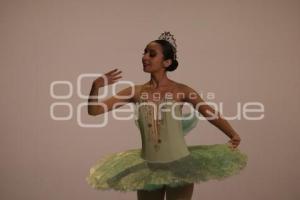 BALLET GALA