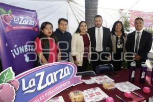 SAN PEDRO CHOLULA . FERIA DE EMPLEO
