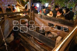 TLAXCALA . NACIMIENTO DE ANIMALES VIVOS