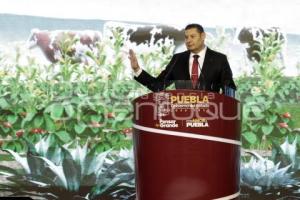 GOBIERNO ESTATAL . ALEJANDRO ARMENTA