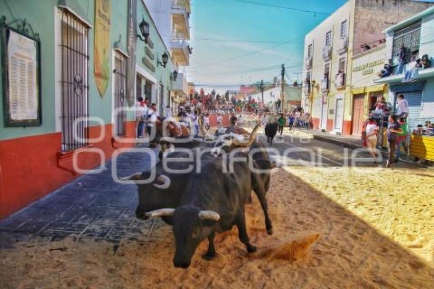 TLAXCALA . ENCIERRO DE TOROS