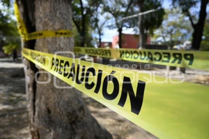 TLAXCALA . ÁRBOL DAÑADO